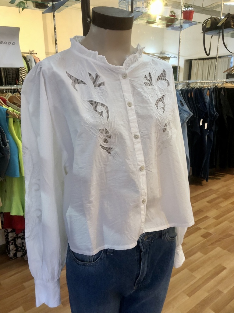 Camisa Nova